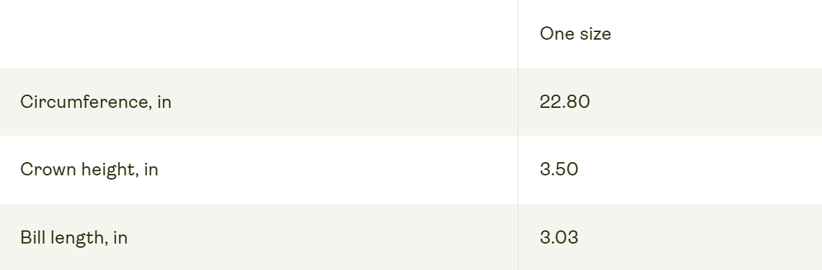 Trucker Hat | Vintage Pride Flag