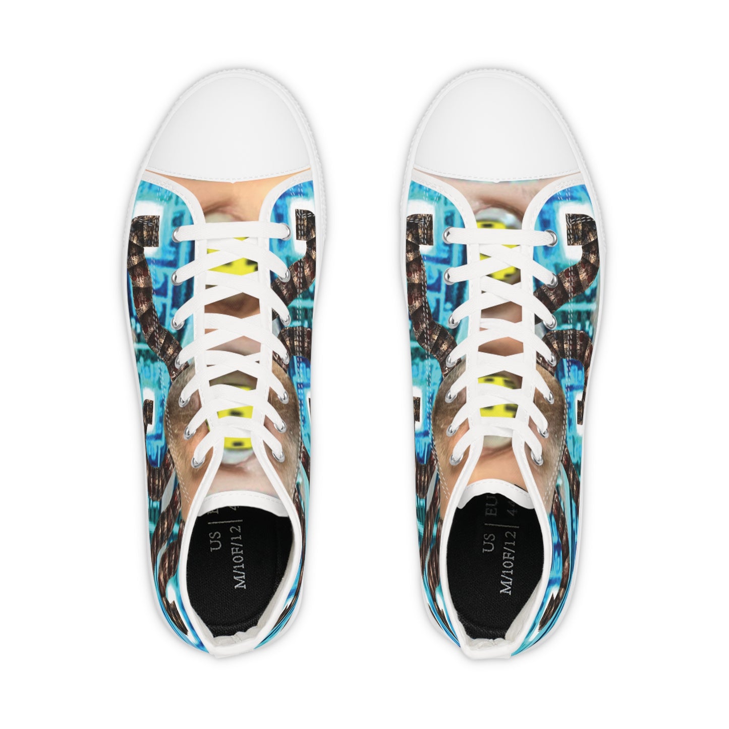 Sneakers | Dodeca