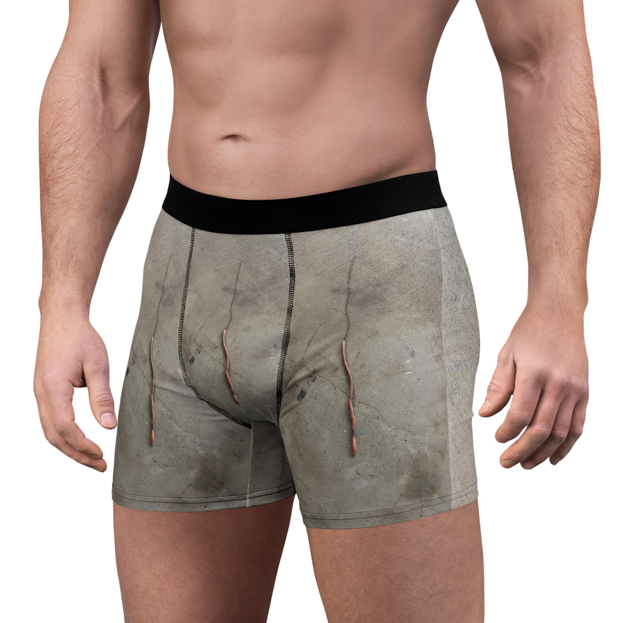 Boxer Briefs | The Worm