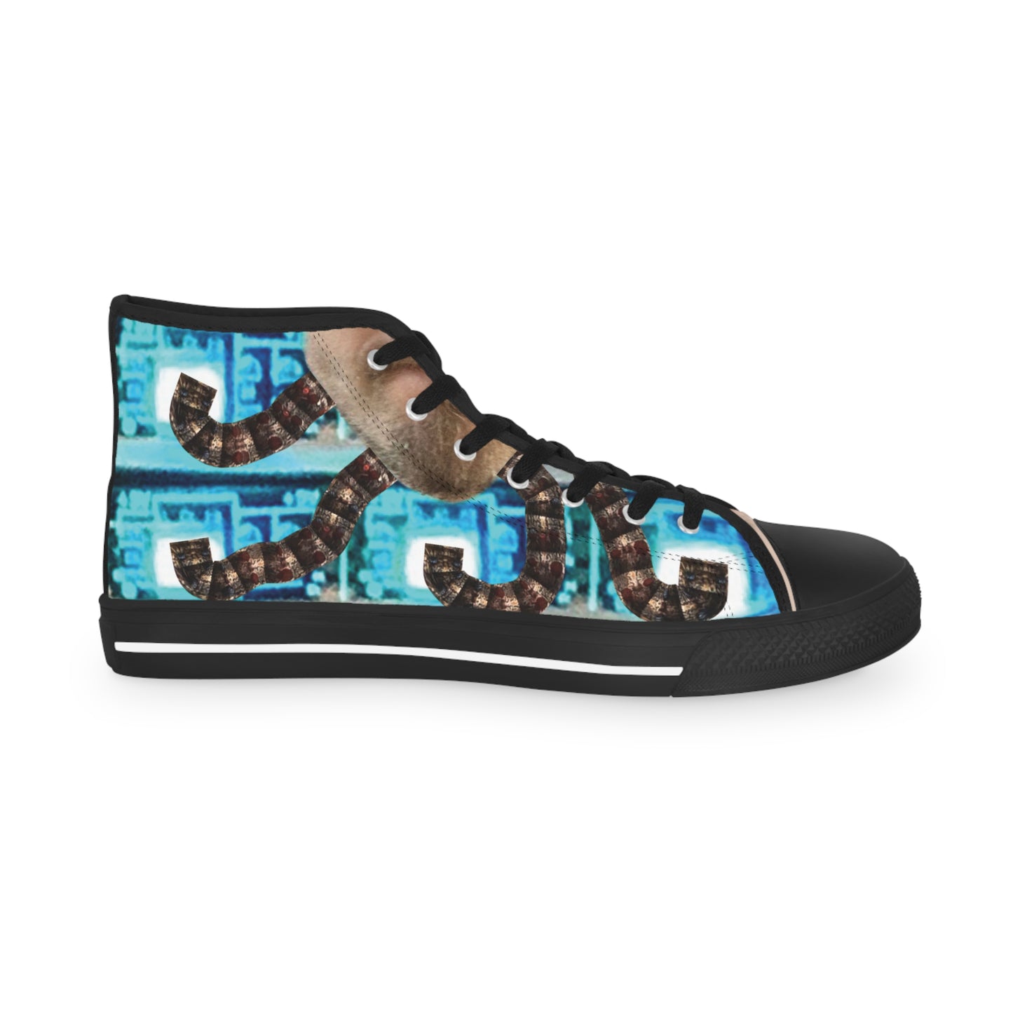 Sneakers | Dodeca