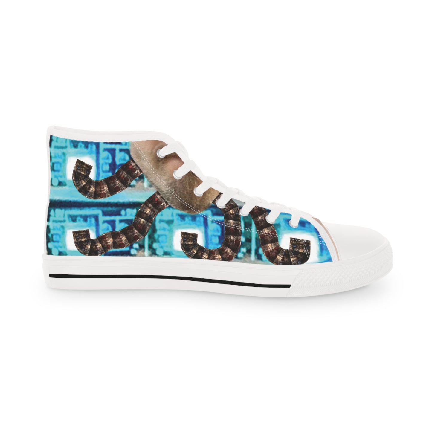 Sneakers | Dodeca