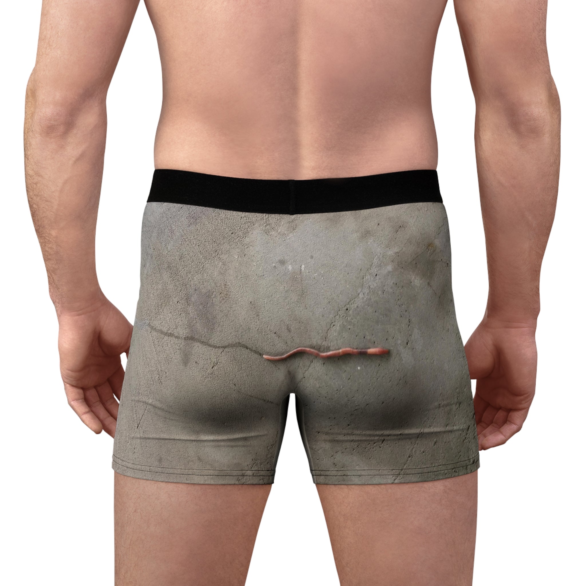 Boxer Briefs | The Worm