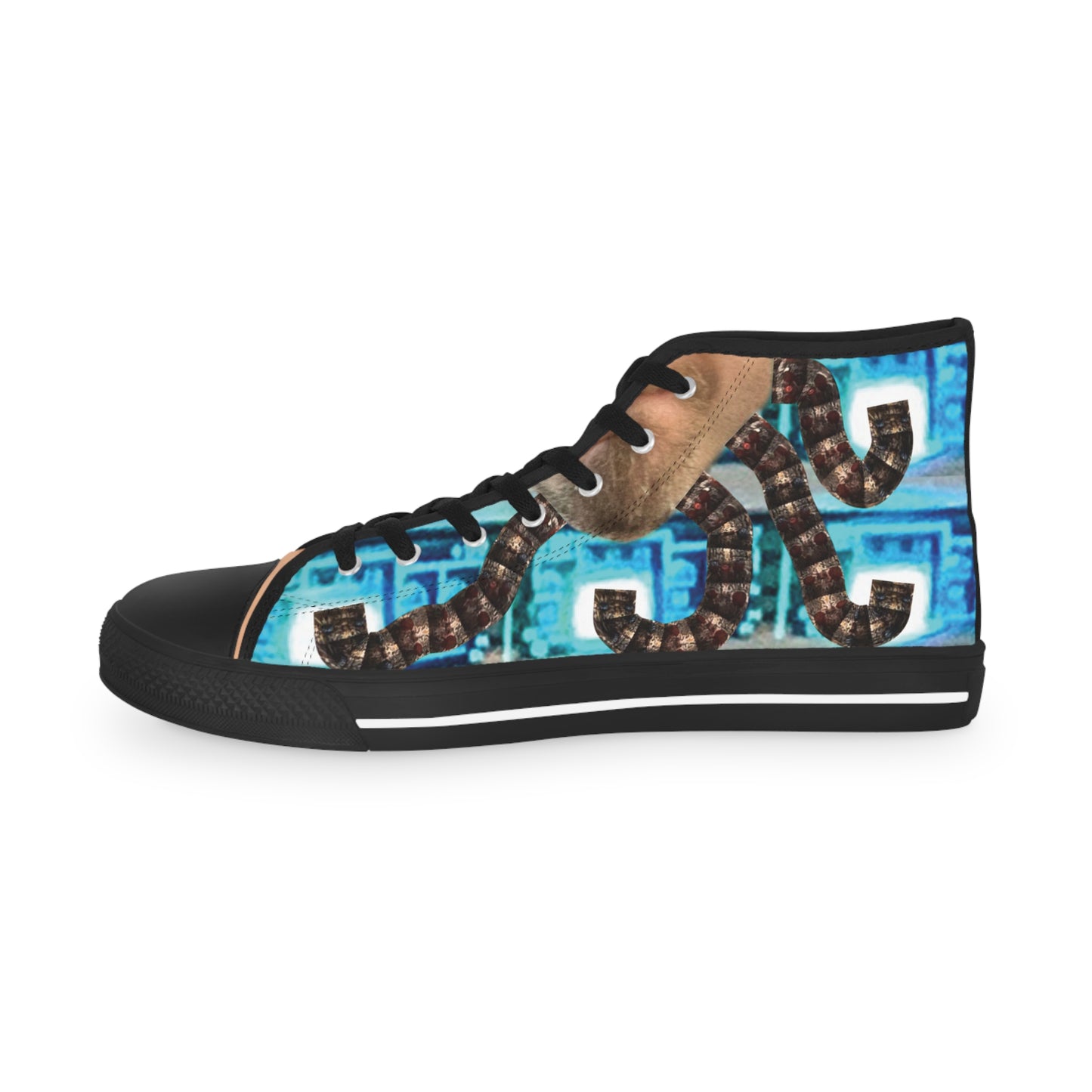 Sneakers | Dodeca